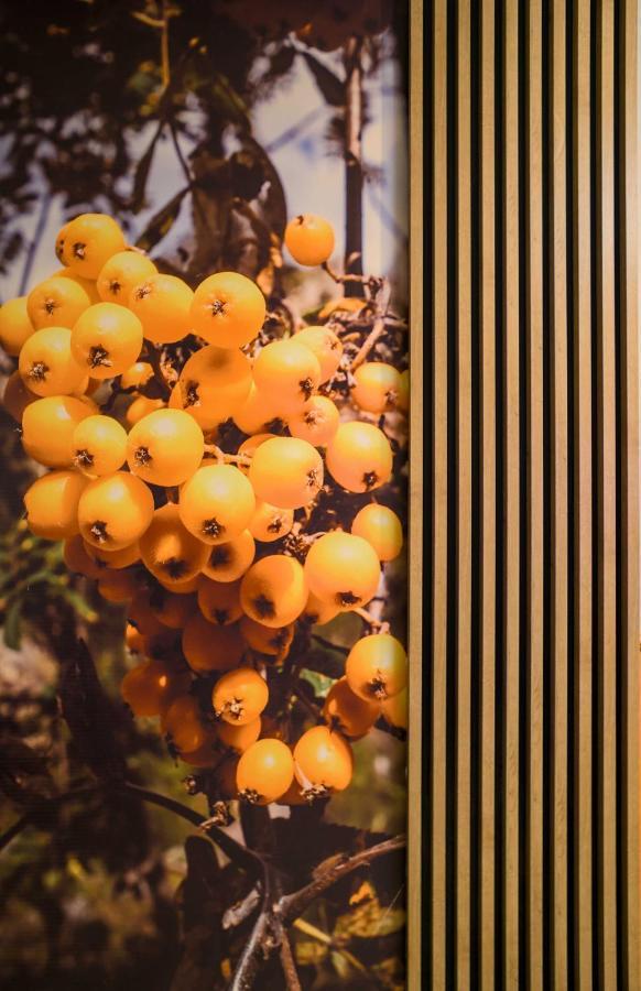 Czerwona Jarzebina Karpacz Centrum Ngoại thất bức ảnh